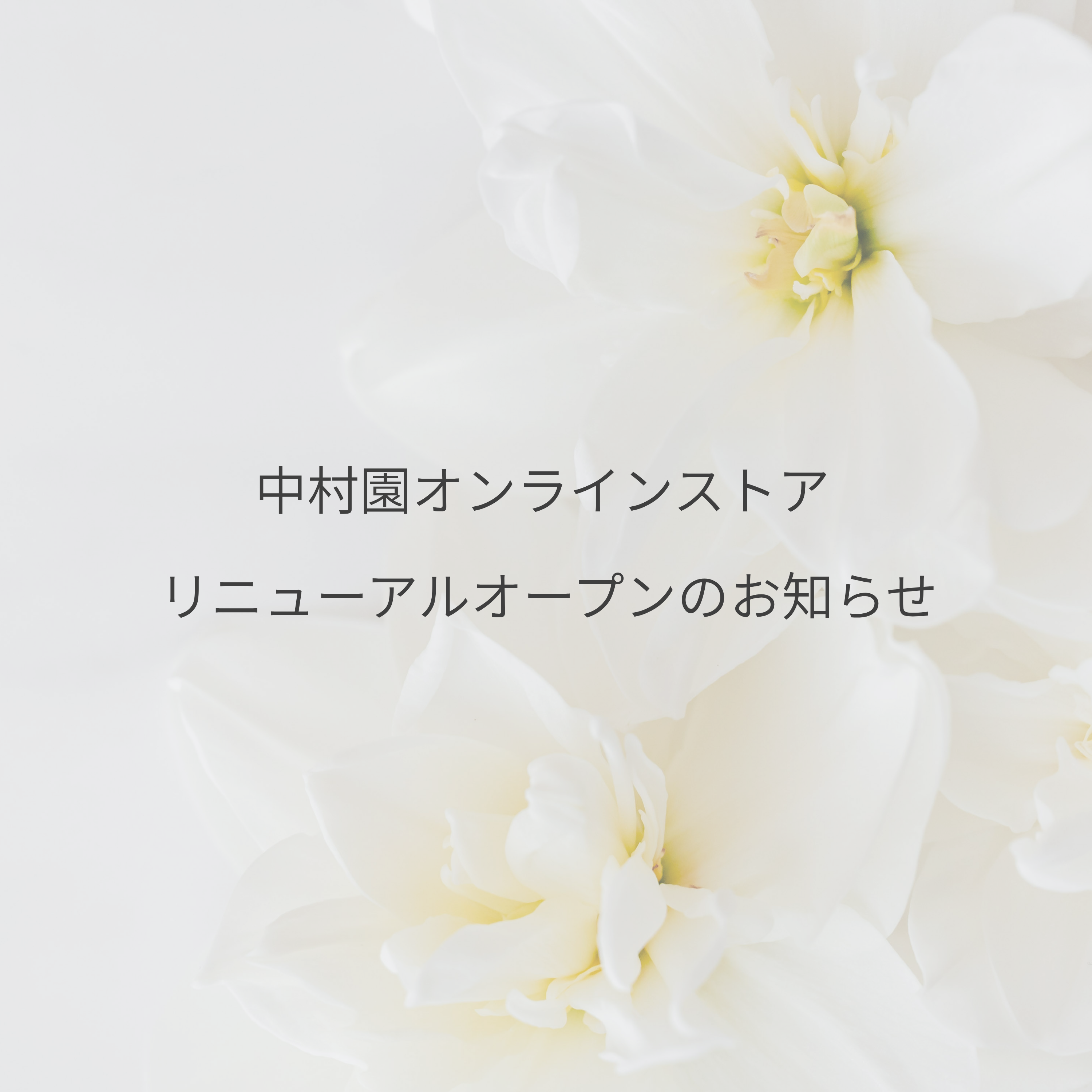 中村園オンラインストア リニューアルオープンのお知らせ